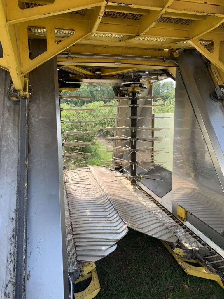 Interior photo of a mechanical blueberry picker