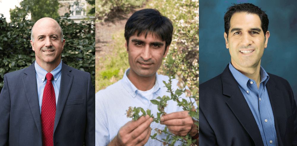 Headshots (L-R) of Mike Martin, Ashfaq Sial and Ted Futris