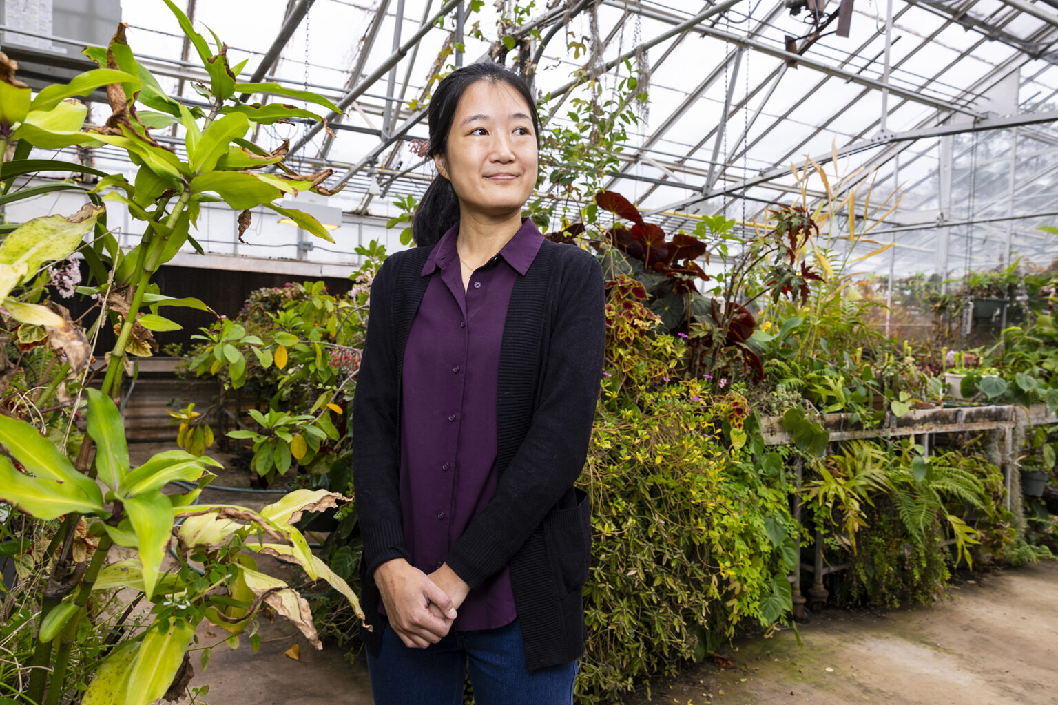 Anny Chung is an assistant professor jointly appointed in the College of Agricultural and Environmental Sciences Department of Plant Pathology and the Franklin College of Arts and Sciences Department of Plant Biology. (Photo by Chamberlain Smith/UGA)