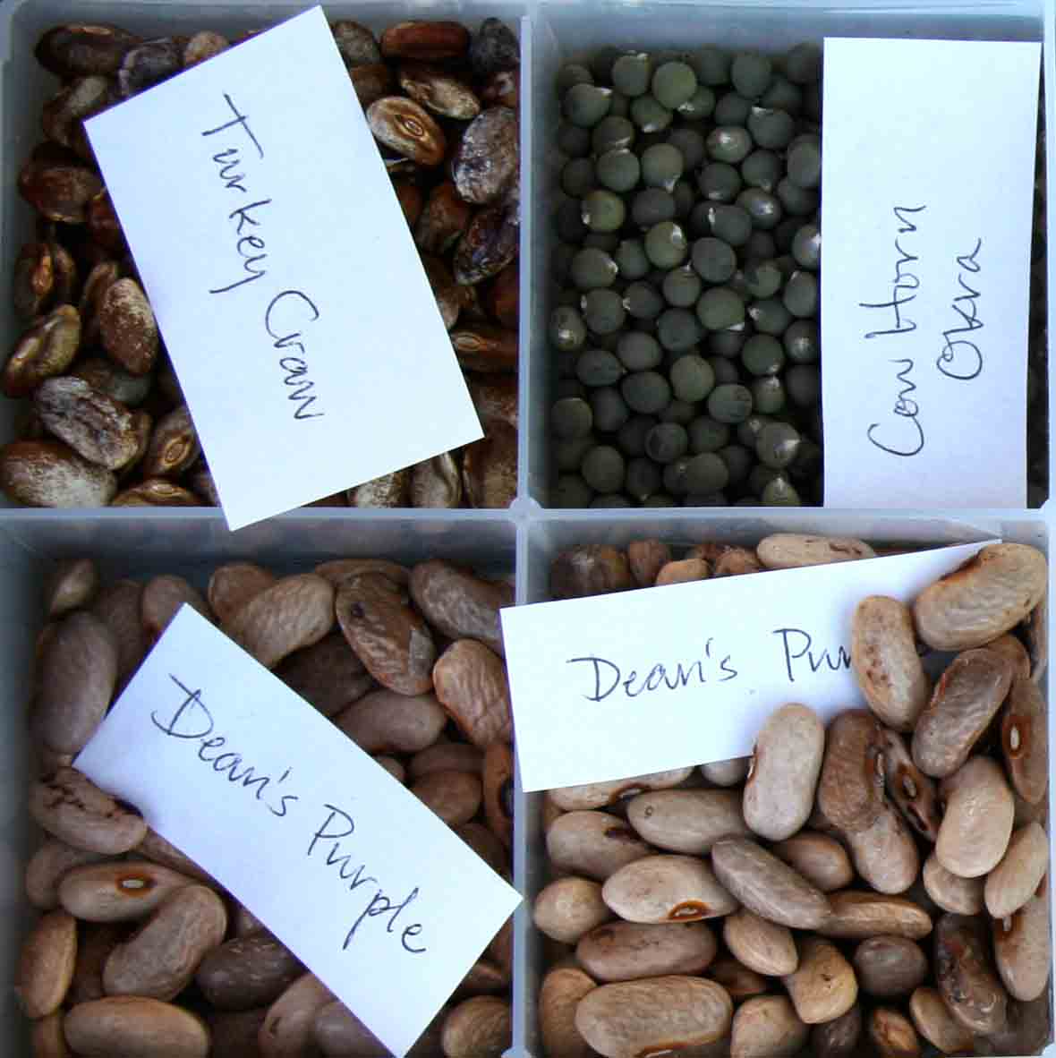 Photos of seeds available at a recent seed swap at the State Botanical Garden of Georgia.