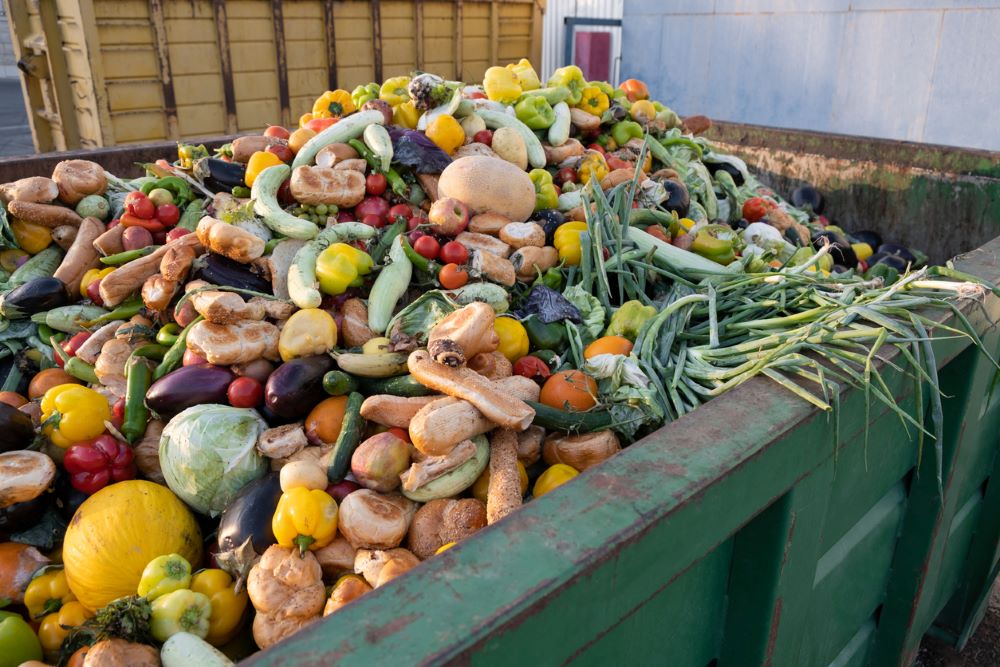 A giant heap of fruits and vegetables sits in a dumpster