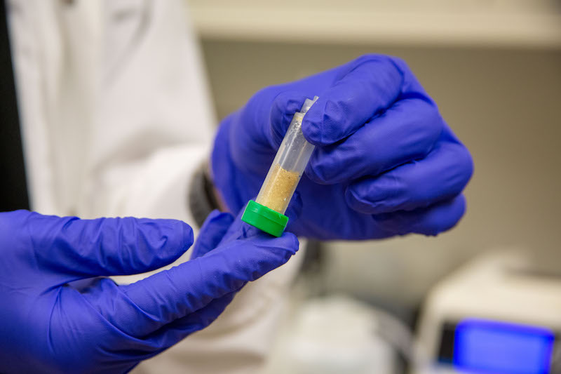 Research Jack Huang, wearing blue latex gloves and a lab coat, inspects a sample inside a plastic vial