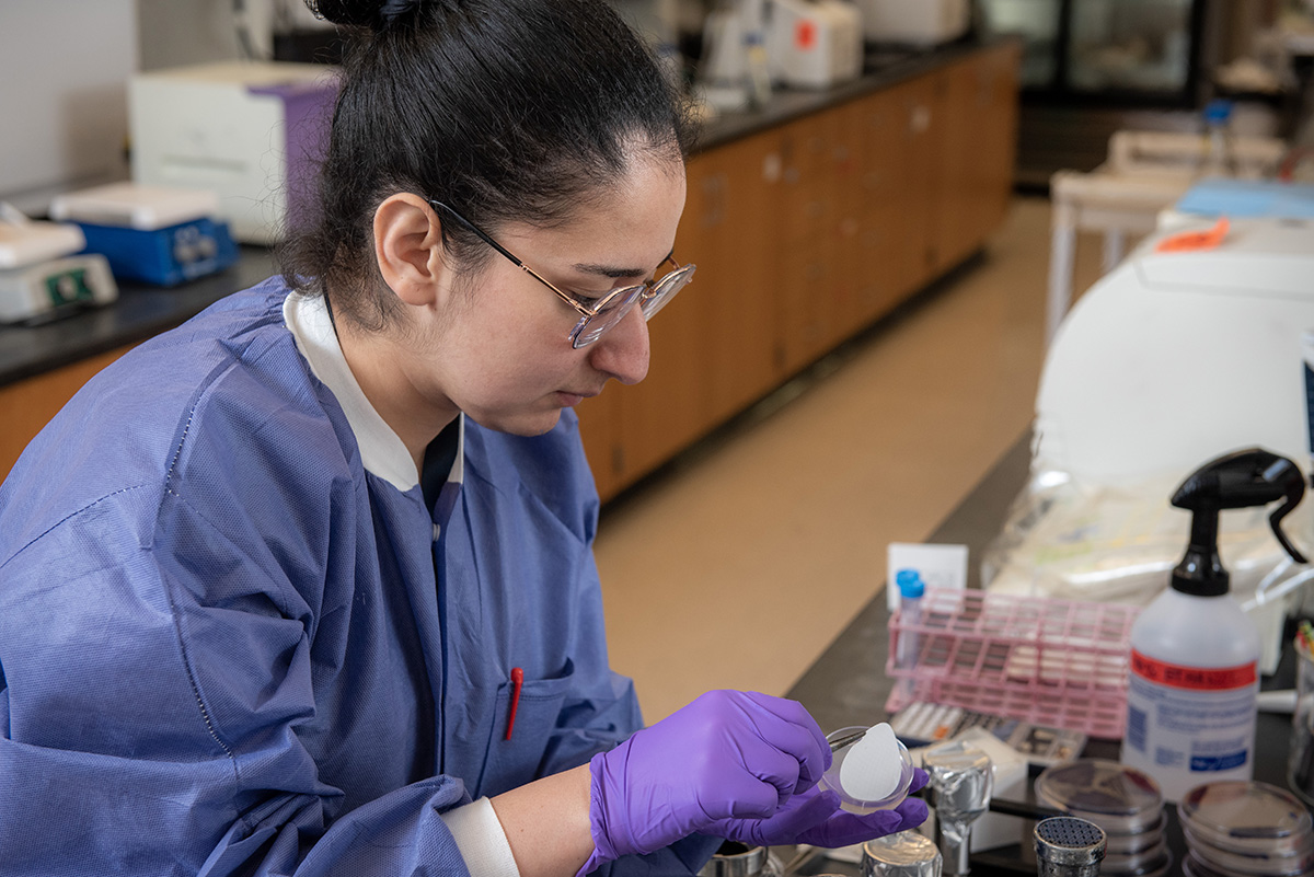 Jouman works in the Kassem lab at UGA-Griffin