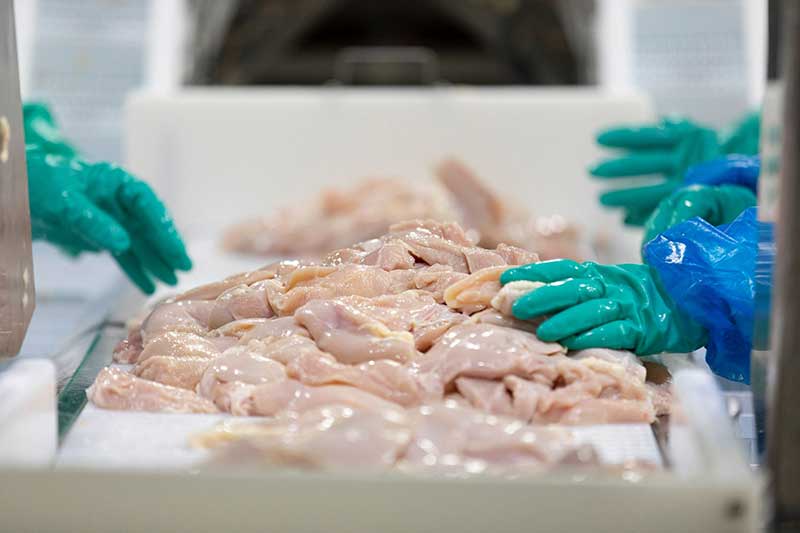 An average of 31 million pounds of chicken produced every day throughout the state. At the University of Georgia’s College of Agricultural and Environmental Sciences, experts have helped developed biomapping technology for processing facilities that is making the food supply safer.