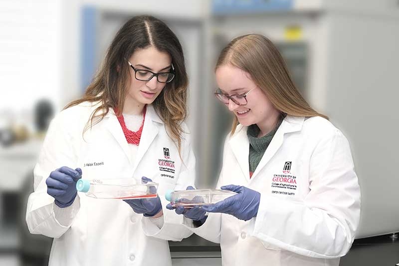 UGA virologist Malak Esseili (left) and graduate student Julianna Morris studied methods of inactivating SARS-CoV-2 on contaminated surfaces.