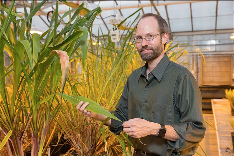 U.S. Department of Agriculture researcher Edward Buckler will be the keynote speaker for the D.W. Brooks on November 16.