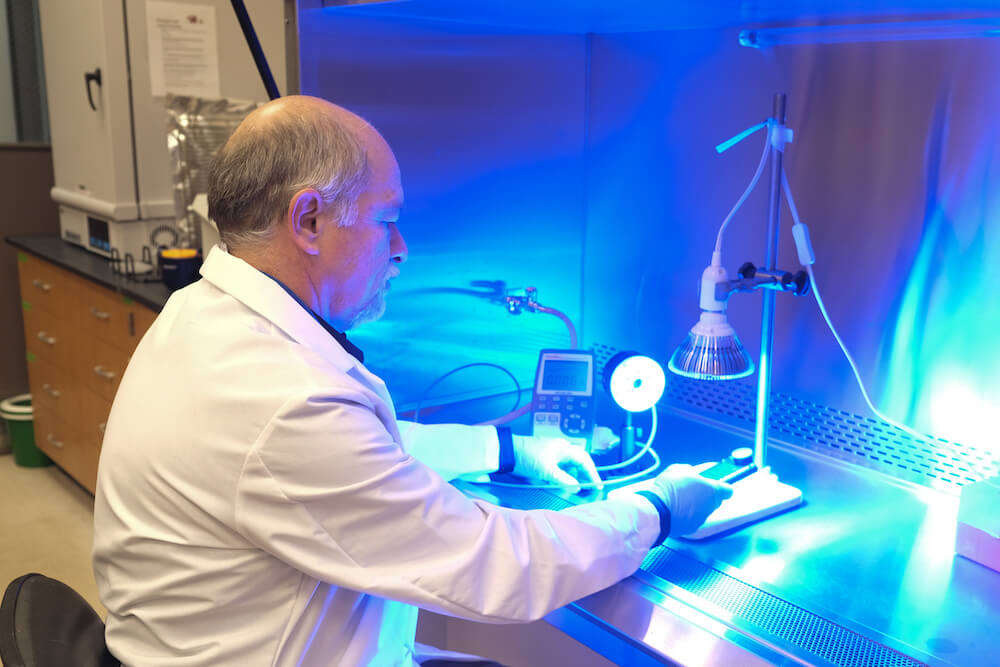 Francisco Diez-Gonzalez works with antimicrobial blue light in the lab