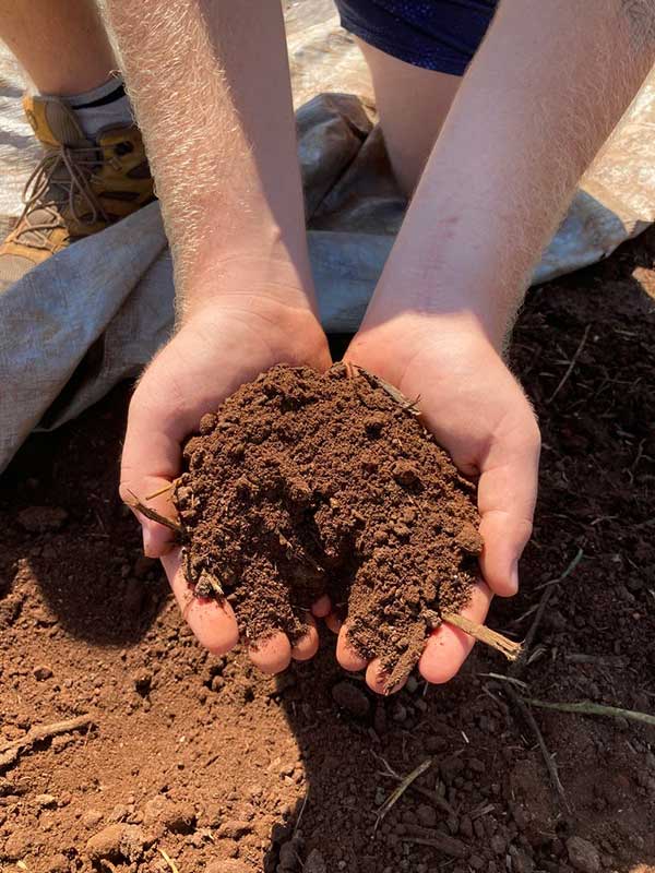 UGArden serves as a drop-off point for Athens-Clarke County composting. Anyone can drop off compostable materials at the farm at no charge. For information visit ugarden.uga.edu/home/compost-information.