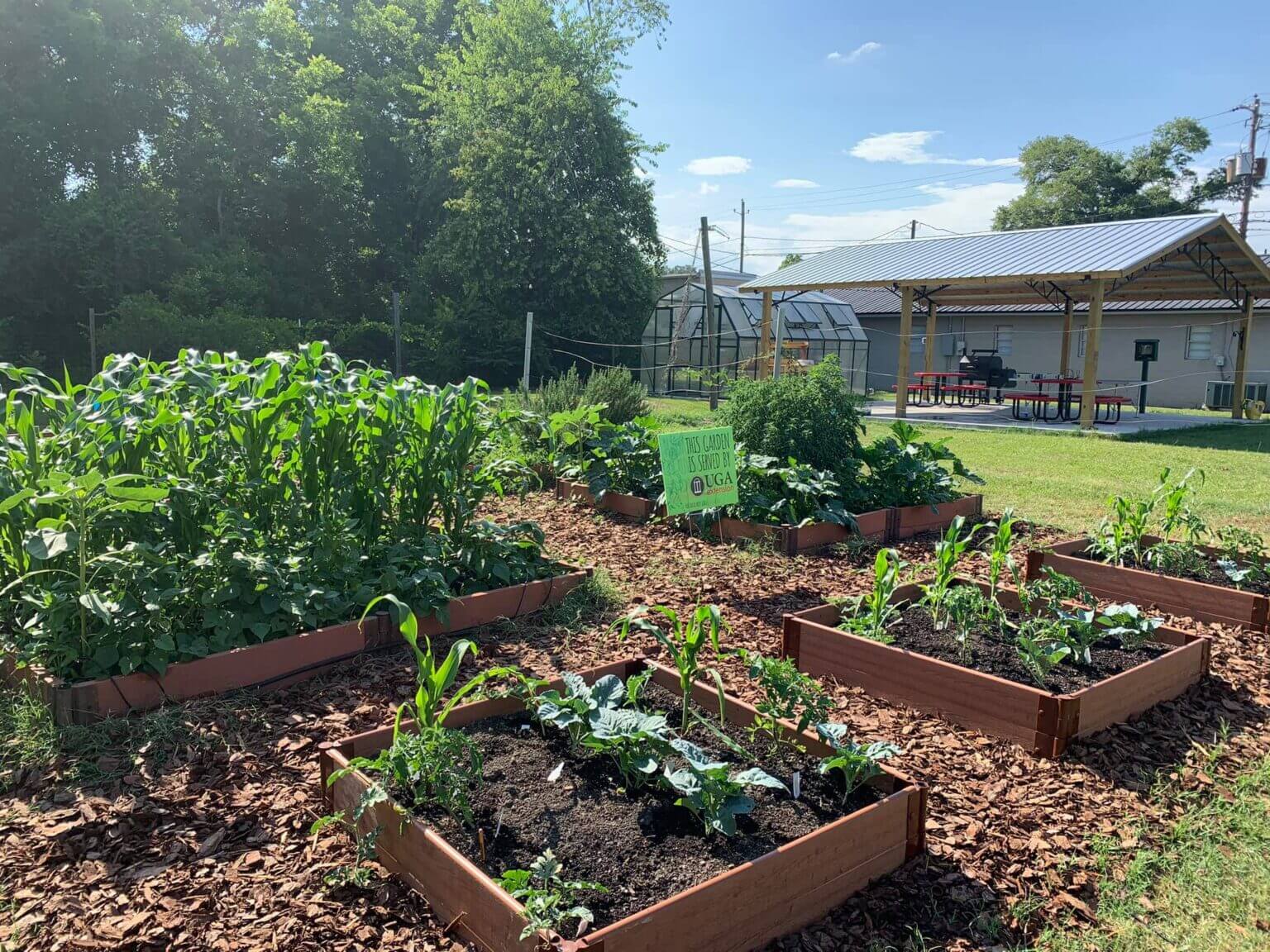 A community garden in Calhoun helps fresh provide produce. (Submitted photo)