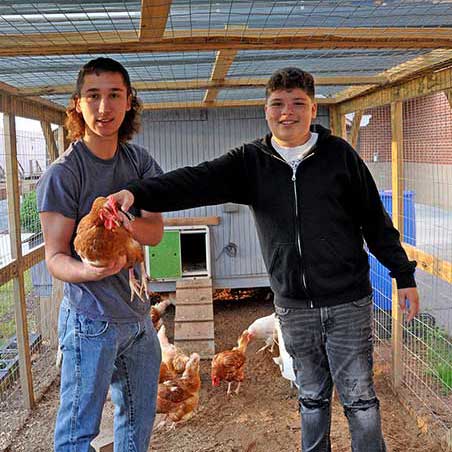 High-School Poultry Science