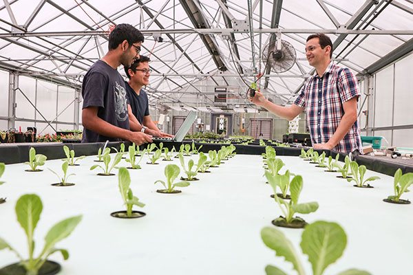 Rhuanito Ferrarezi, associate professor of horticulture, Jonathan Cardenas, graduate research assistant and Young Scholar Saahas Swaroop use multiple cameras capable of measuring depth, thermal, spectral and color information to predict lettuce growth under greenhouse condition on UGA’s Athens campus in June 2023.