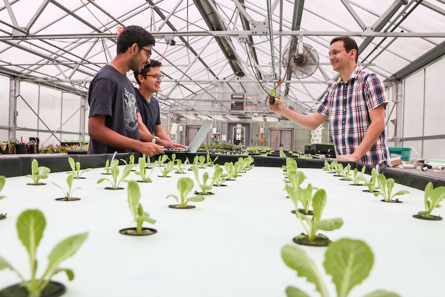 Associate Professor Rhuanito Ferrarezi (on right) works with graduate research assistant Jonathan Cardenas (on left, foreground), and Young Scholar Saahas Swaroop using multiple cameras capable of measuring depth, thermal, spectral and color information to predict lettuce growth under greenhouse conditions on UGA’s Athens campus in June 2023.