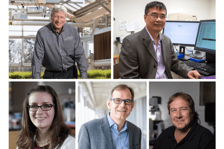 Five UGA professors were named NAI Senior Members, giving the university 16 in its history. Pictured (clockwise from left) are Elizabeth Brisbois, David Crich, Jack Huang, Ralph Tripp, and Paul Raymer.