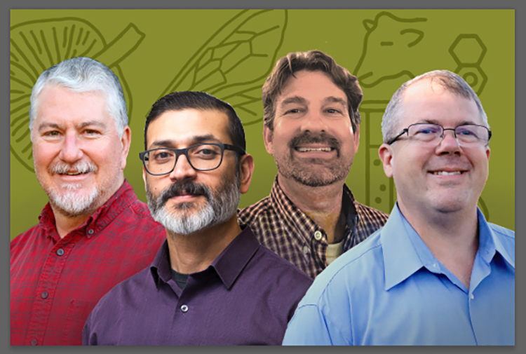 A composite image of four male professors wearing button down shirts.