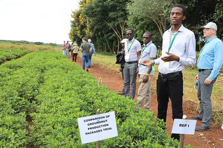 Precious Mtengezo explains ongoing research to a crowd at the 2024 Groundnut Tour in Malawi.