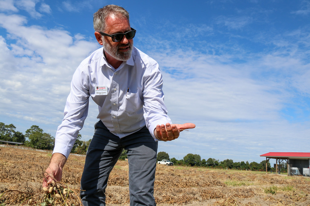 A man stands in a peanut field, holding a sample to show a person who is out of the frame.