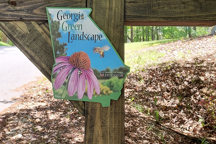 A Georgia Green Landscape Stewards sign hangs on a mailbox, identifying the property as a sustainable landscape. 