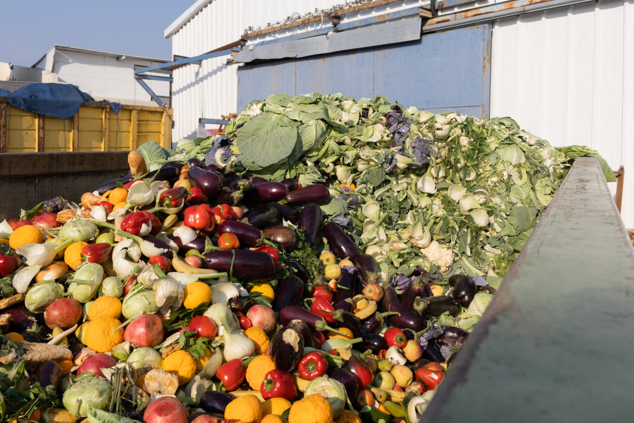 A new grant program focusing on preventing and reducing food loss and waste is designed to help reduce food waste in the U.S. by 50% over the next five years.