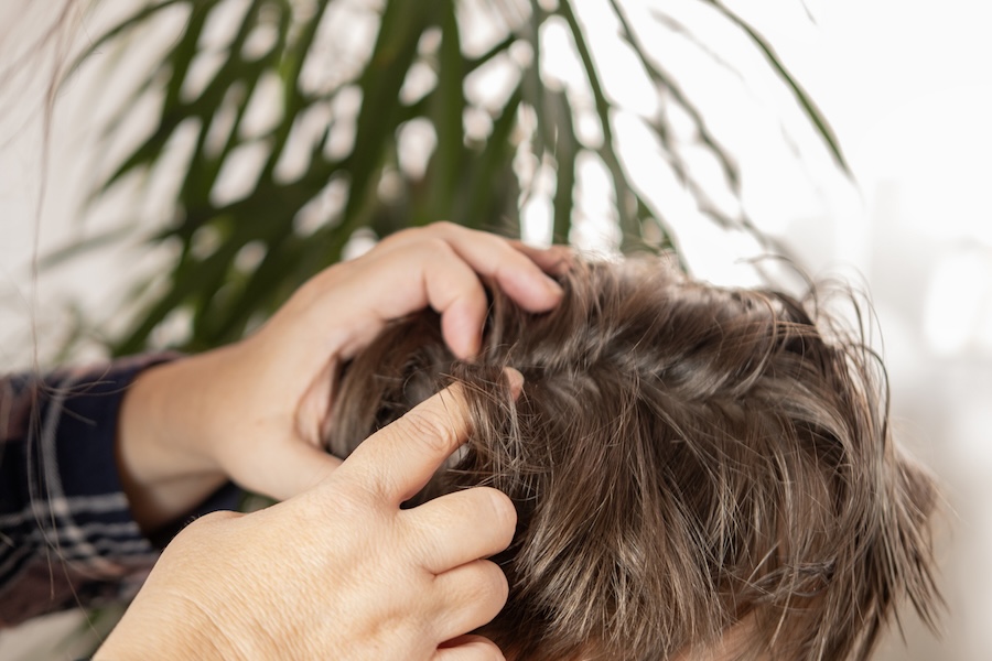 Checking for head lice