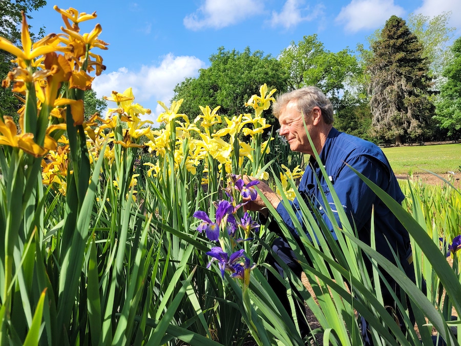 Stan Gray in Rivers of Iris at Coastal Georgia Botanical Gardens