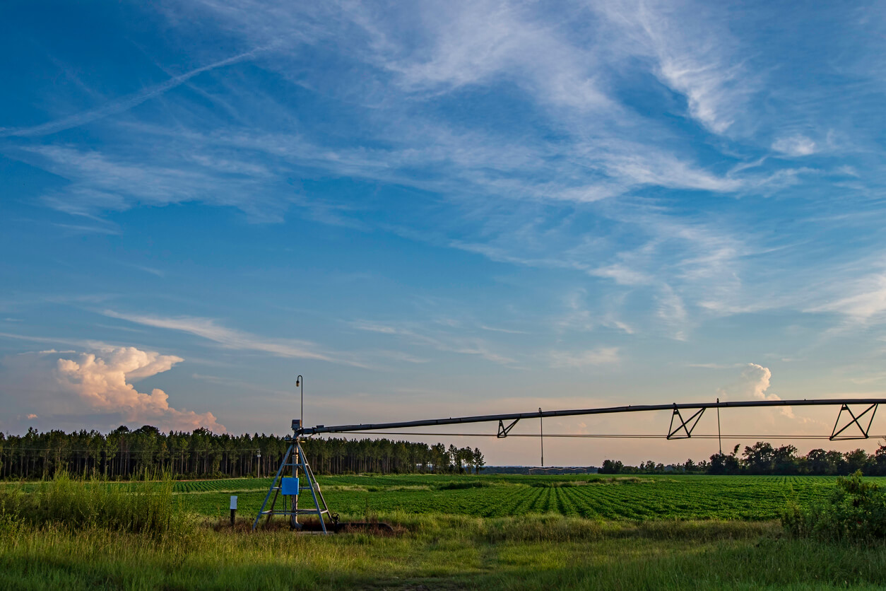 A wide farm field under a clear blue sky, with a long irrigation system extending across the green crops.