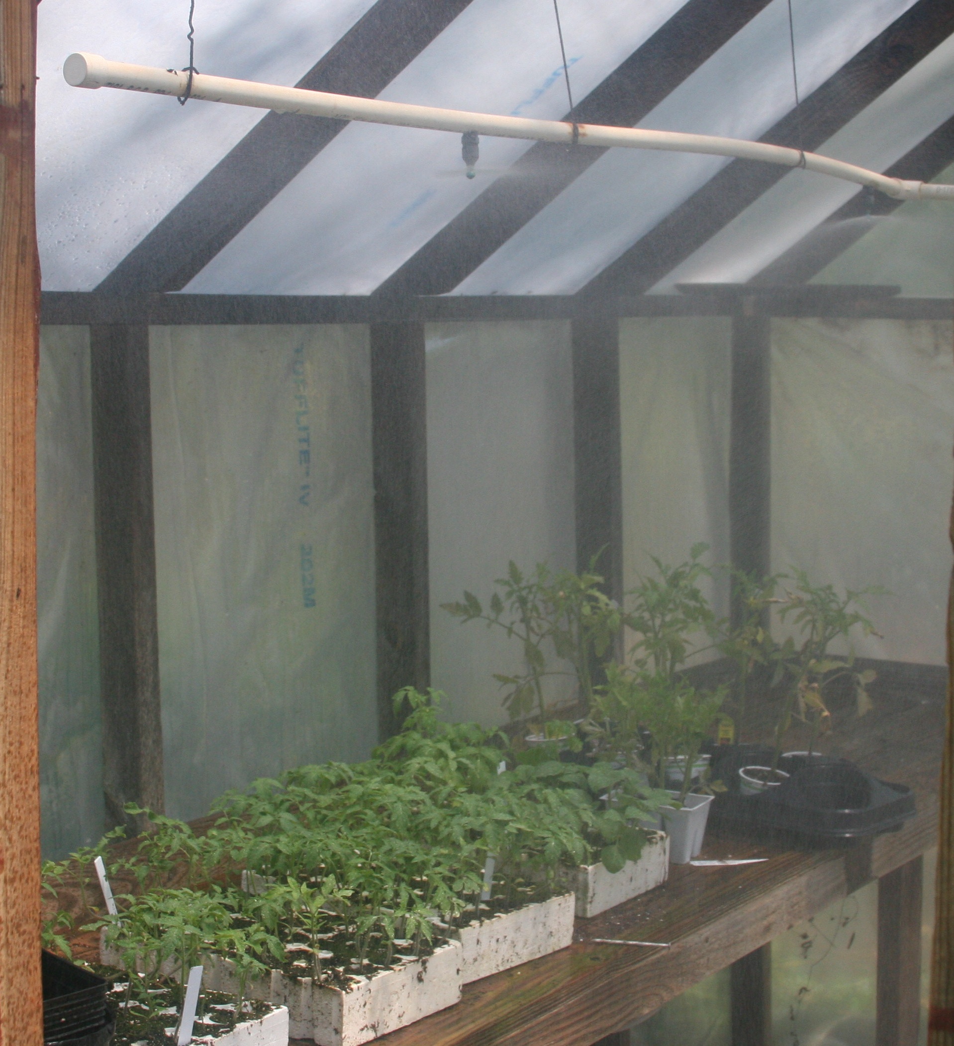 PVC pipe converted into a hobby greenhouse misting system