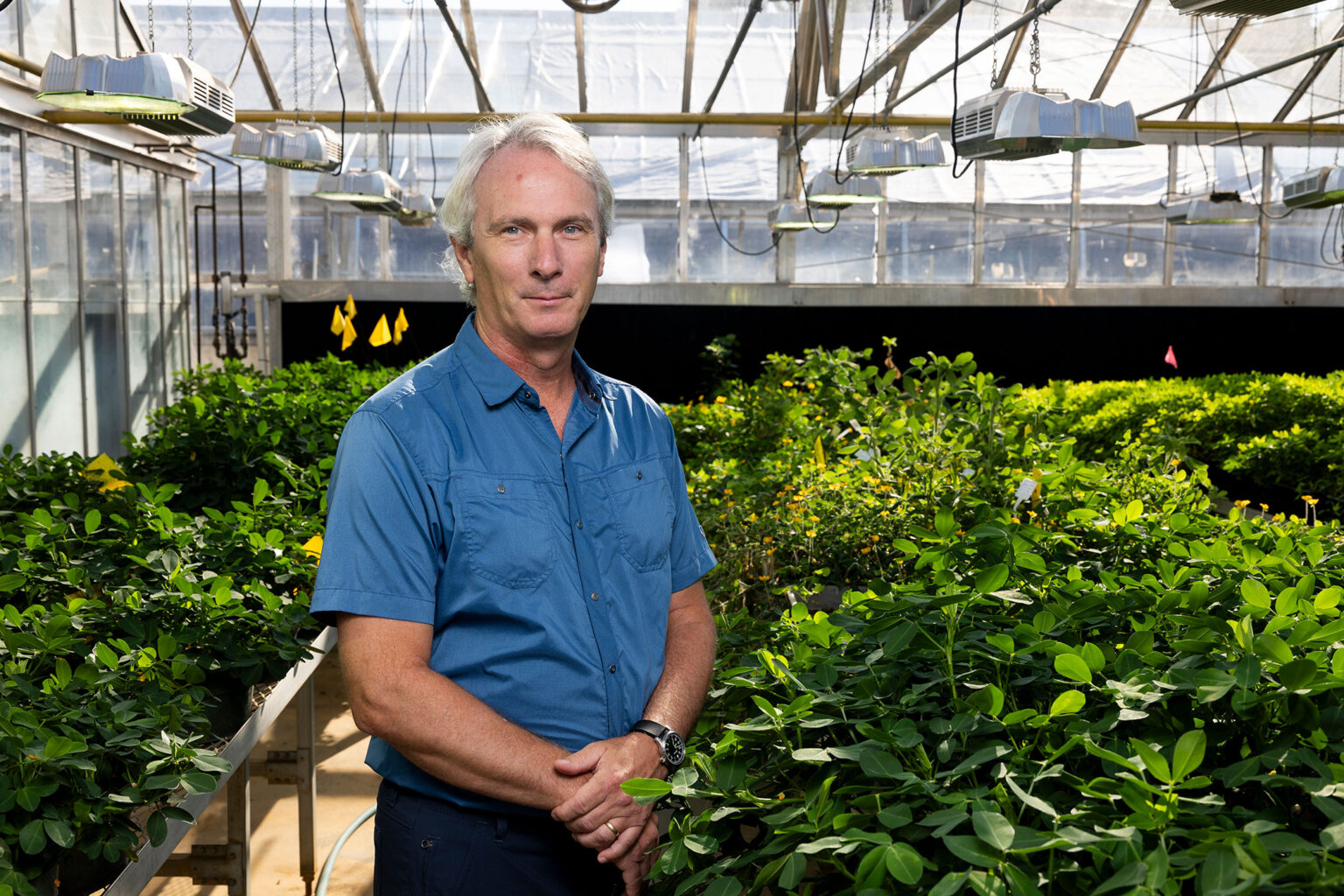 Scott Jackson first came to the university in 2011 as the GRA Eminent Scholar in Plant Functional Genomics in the College of Agricultural and Environmental Sciences. (Photo by Andrew Davis Tucker)