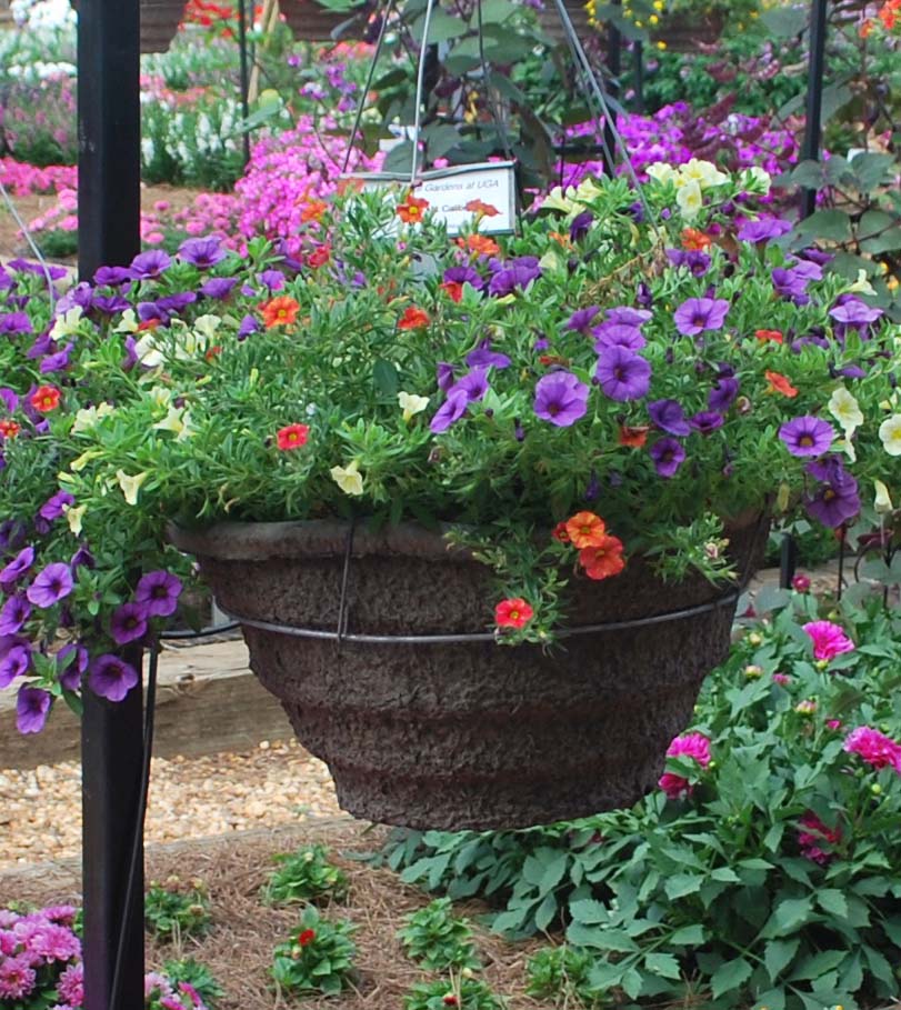 The staff of The Trial Gardens at UGA will host an "Evening in the Garden," Oct. 9