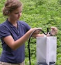 University of Georgia entomology intern Anna Marie Heape places a kudzu bug trap in a kudzu patch on the UGA campus in Griffin, Ga.