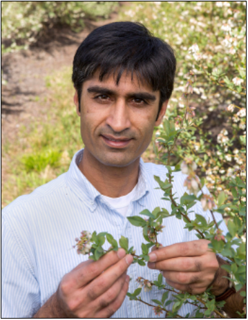 Portrait of Ashfaq A. Sial